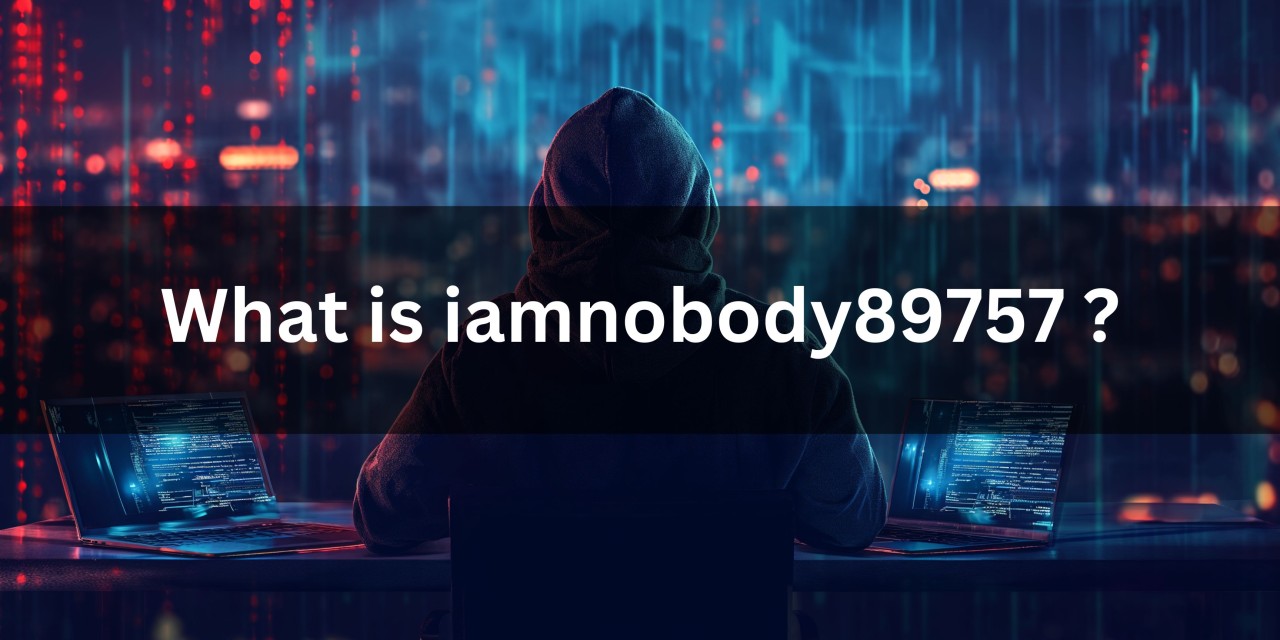 Finding the Universe of Iamnobody89757: An Excursion into the Computerized Domain